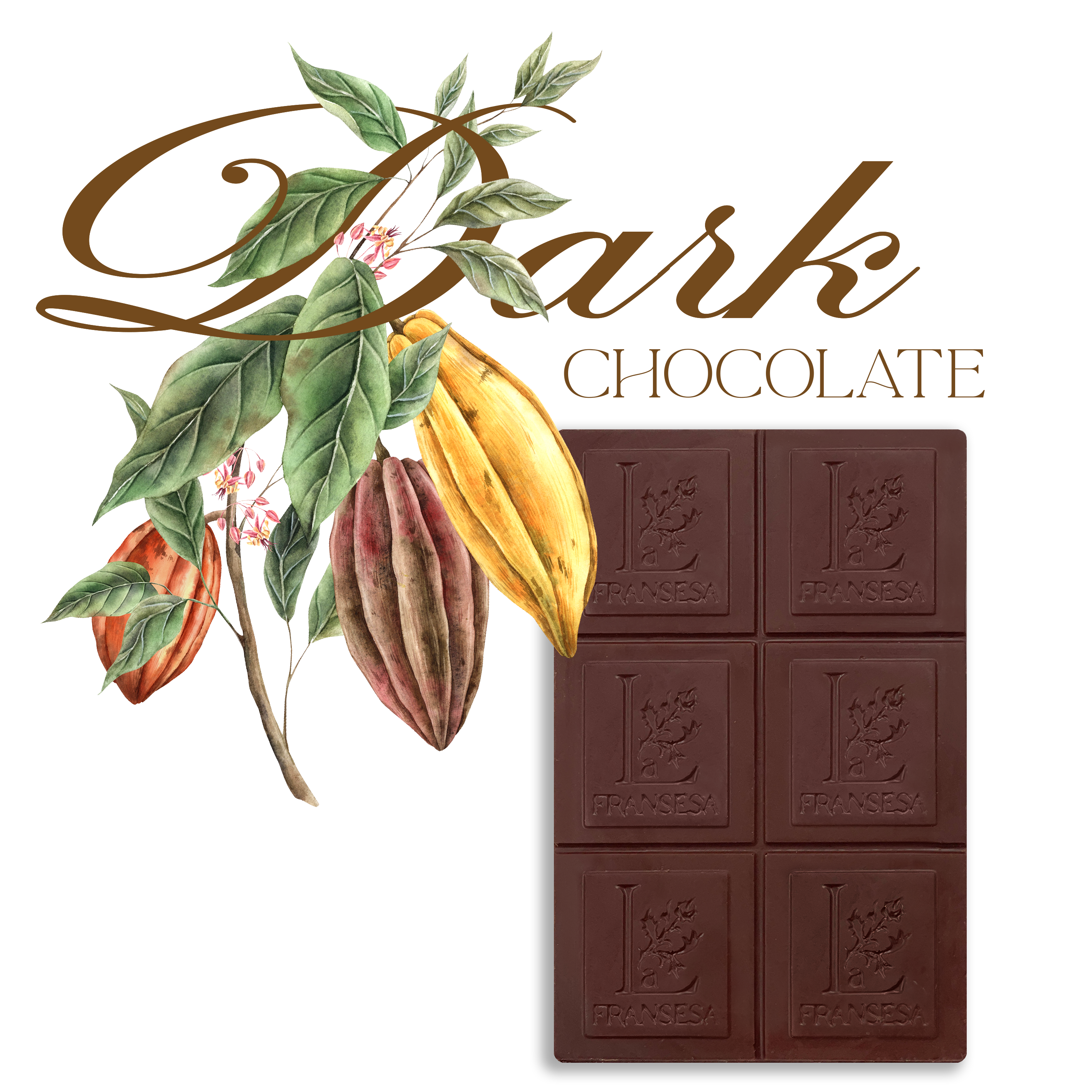 Intense Dark Chocolate - Bean to bar. Craft Chocolate. 82% cocoa