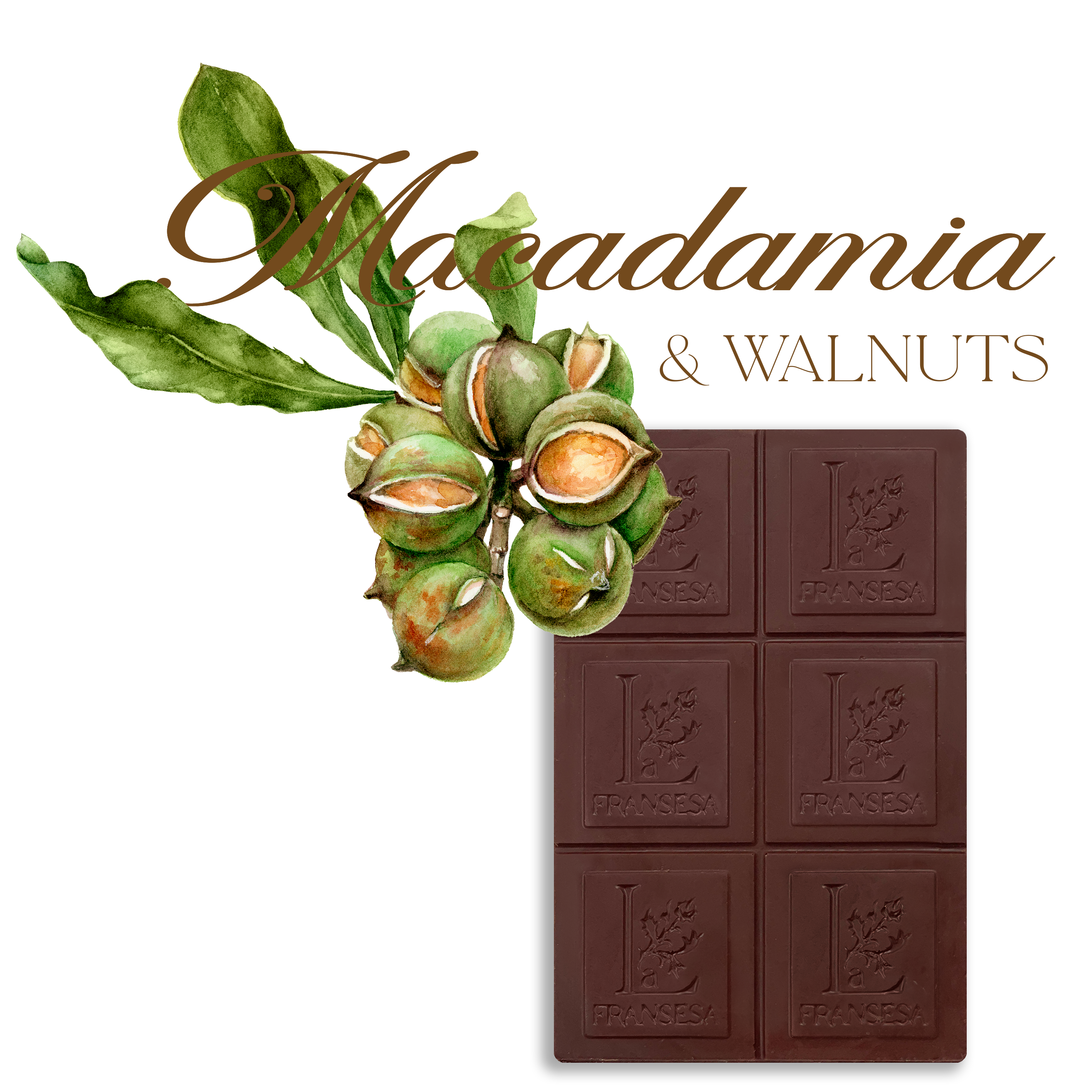Macadamia & Walnuts - Bean to bar. Craft Chocolate. 70% cocoa