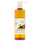 Antibacterial Liquid Hand Soap 20oz.